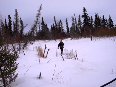 Miscellaneous trapper